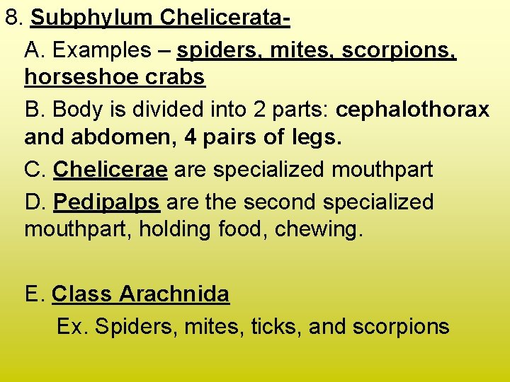 8. Subphylum Chelicerata. A. Examples – spiders, mites, scorpions, horseshoe crabs B. Body is