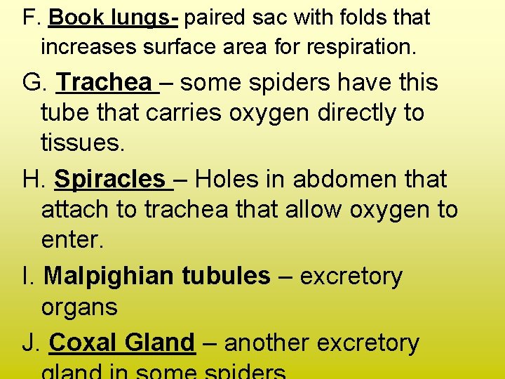 F. Book lungs- paired sac with folds that increases surface area for respiration. G.