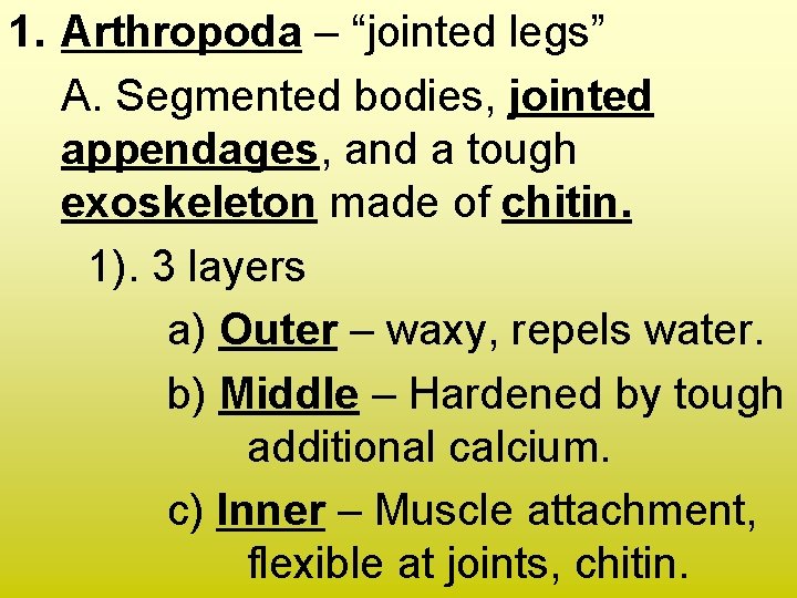 1. Arthropoda – “jointed legs” A. Segmented bodies, jointed appendages, and a tough exoskeleton