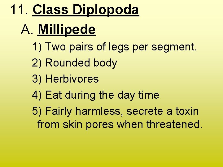 11. Class Diplopoda A. Millipede 1) Two pairs of legs per segment. 2) Rounded 11. Class Diplopoda A. Millipede 1) Two pairs of legs per segment. 2) Rounded