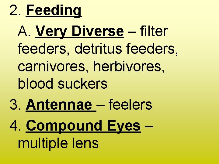 2. Feeding A. Very Diverse – filter feeders, detritus feeders, carnivores, herbivores, blood suckers 2. Feeding A. Very Diverse – filter feeders, detritus feeders, carnivores, herbivores, blood suckers