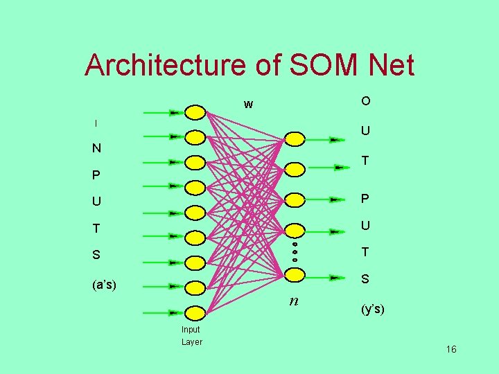 Architecture of SOM Net O W I U N T P U P T