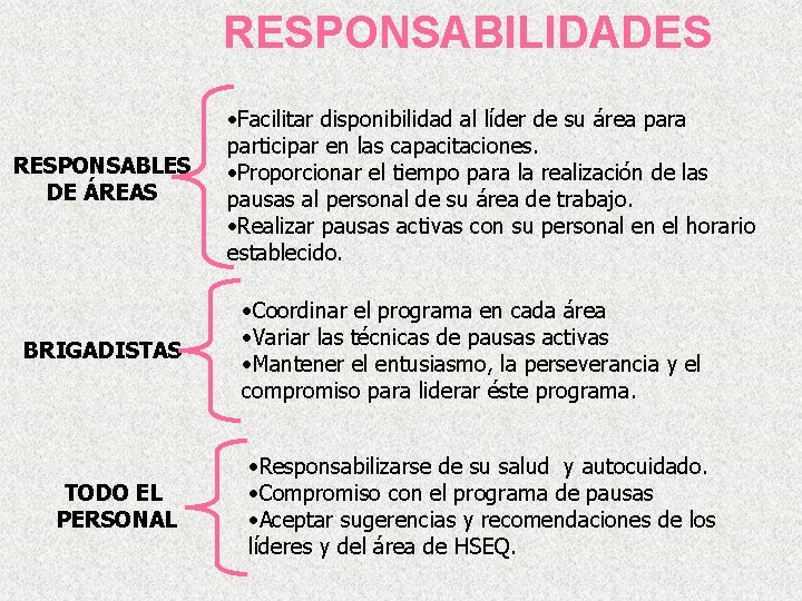 RESPONSABILIDADES RESPONSABLES DE ÁREAS BRIGADISTAS TODO EL PERSONAL • Facilitar disponibilidad al líder de