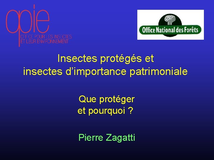 Insectes protégés et insectes d’importance patrimoniale Que protéger et pourquoi ? Pierre Zagatti 