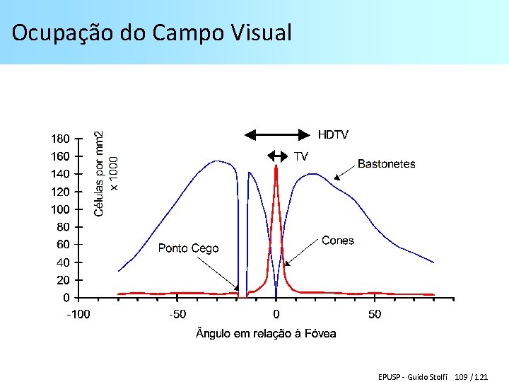 Ocupação do Campo Visual EPUSP - Guido Stolfi 109 / 121 