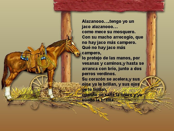 Alazanooo…. tengo yo un jaco alazanooo… como mece su mosquero. Con su macho arrecogío, Alazanooo…. tengo yo un jaco alazanooo… como mece su mosquero. Con su macho arrecogío,