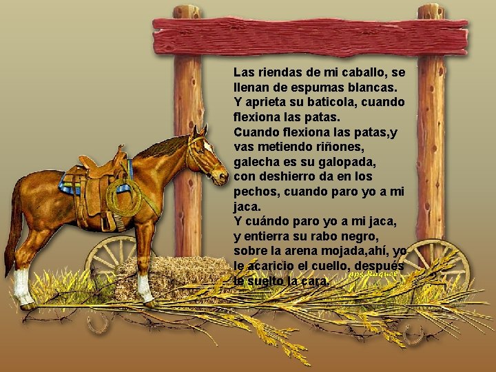 Las riendas de mi caballo, se llenan de espumas blancas. Y aprieta su baticola, Las riendas de mi caballo, se llenan de espumas blancas. Y aprieta su baticola,