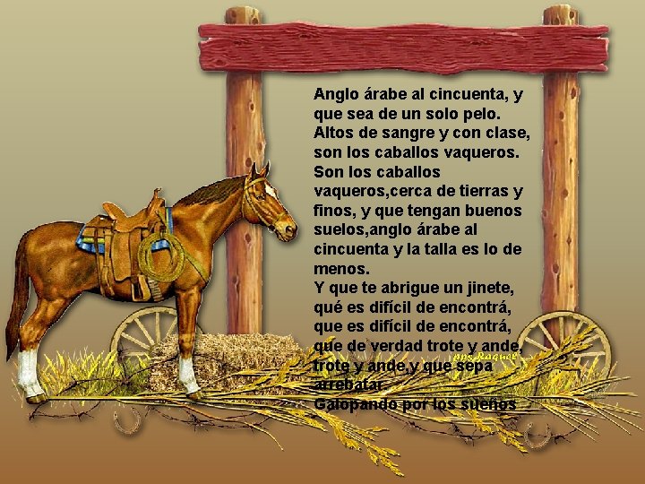 Anglo árabe al cincuenta, y que sea de un solo pelo. Altos de sangre Anglo árabe al cincuenta, y que sea de un solo pelo. Altos de sangre