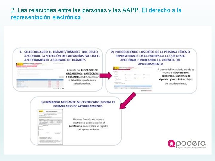 2. Las relaciones entre las personas y las AAPP. El derecho a la representación