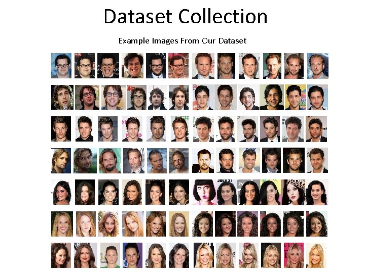 Dataset Collection Example Images From Our Dataset 