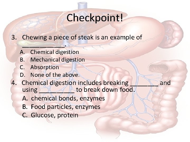 Checkpoint! 3. Chewing a piece of steak is an example of ______. A. B.