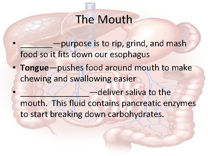 The Mouth • _______—purpose is to rip, grind, and mash food so it fits