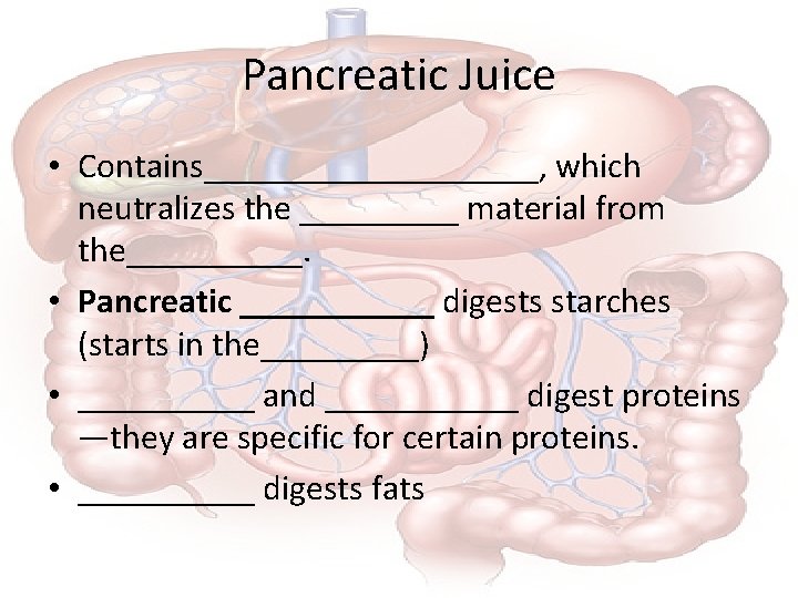 Pancreatic Juice • Contains__________, which neutralizes the _____ material from the_____. • Pancreatic ______