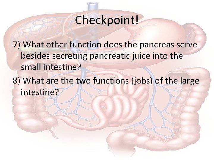 Checkpoint! 7) What other function does the pancreas serve besides secreting pancreatic juice into