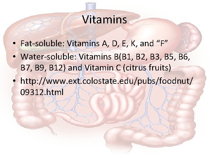 Vitamins • Fat-soluble: Vitamins A, D, E, K, and “F” • Water-soluble: Vitamins B(B