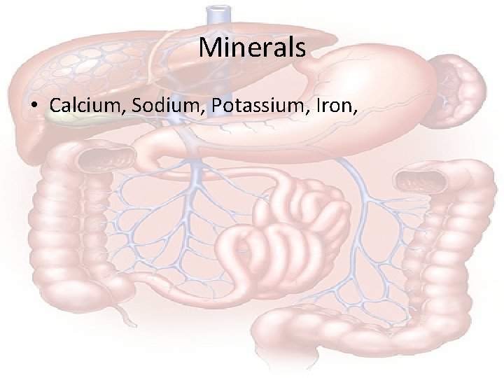 Minerals • Calcium, Sodium, Potassium, Iron, 