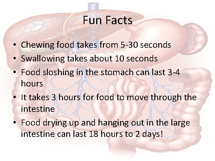 Fun Facts • Chewing food takes from 5 -30 seconds • Swallowing takes about