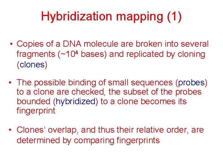 Hybridization mapping (1) • Copies of a DNA molecule are broken into several fragments