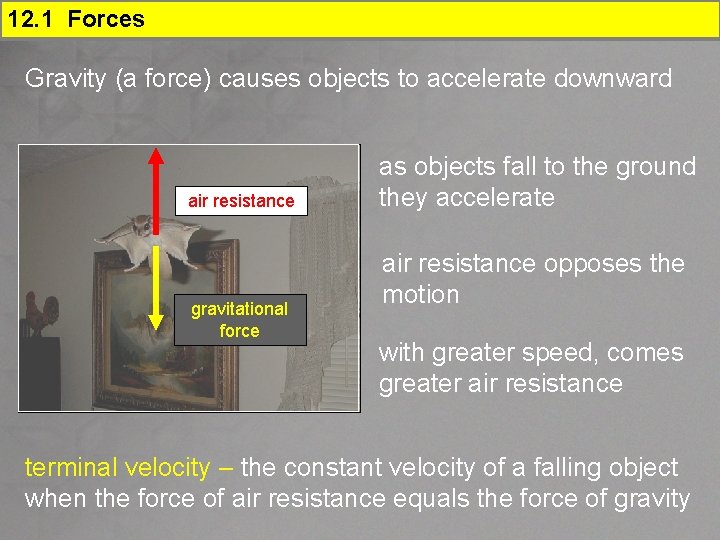 12. 1 Forces Gravity (a force) causes objects to accelerate downward air resistance gravitational