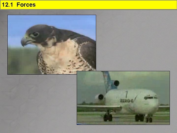 12. 1 Forces 