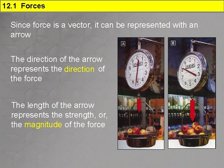 12. 1 Forces Since force is a vector, it can be represented with an