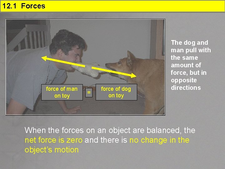 12. 1 Forces force of man on toy = force of dog on toy