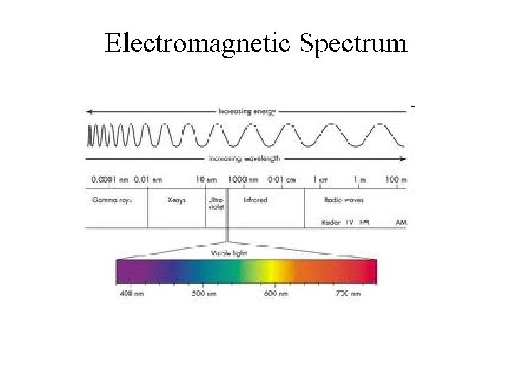 Electromagnetic Spectrum 