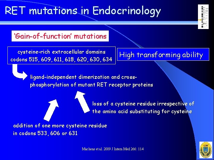 RET mutations in Endocrinology ‘Gain-of-function’ mutations cysteine-rich extracellular domains codons 515, 609, 611, 618,