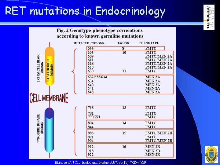 RET mutations in Endocrinology Elisei et al. J Clin Endocrinol Metab 2007, 92(12): 4725–