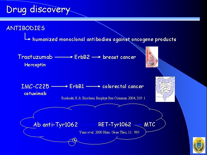 Drug discovery ANTIBODIES humanized monoclonal antibodies against oncogene products Trastuzumab Erb. B 2 breast