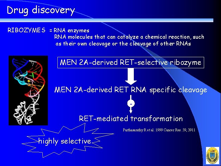 Drug discovery RIBOZYMES = RNA enzymes RNA molecules that can catalyze a chemical reaction,