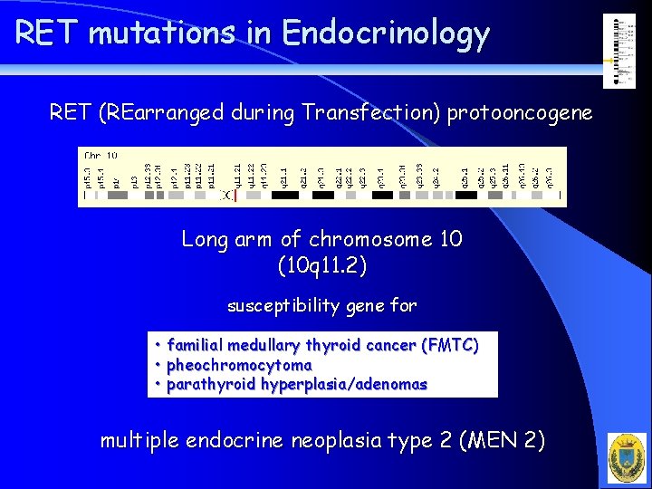 RET mutations in Endocrinology RET (REarranged during Transfection) protooncogene Long arm of chromosome 10