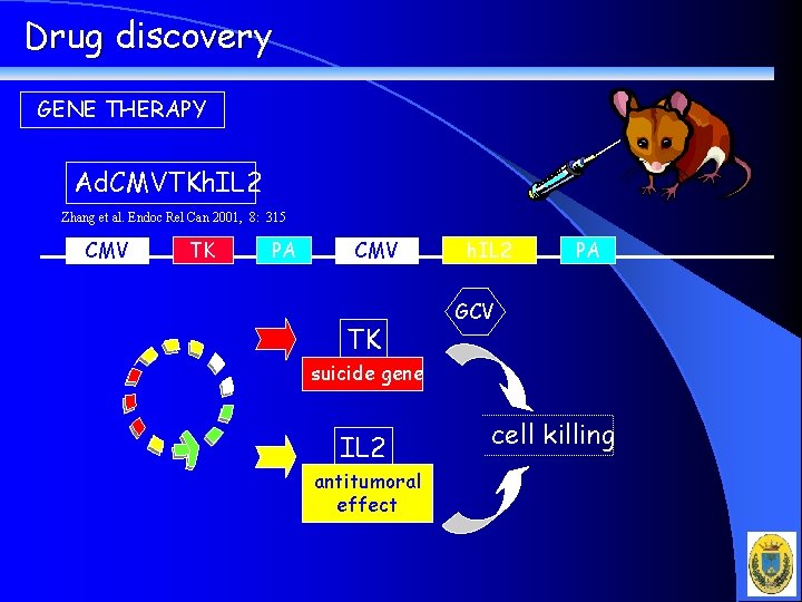 Drug discovery GENE THERAPY Ad. CMVTKh. IL 2 Zhang et al. Endoc Rel Can
