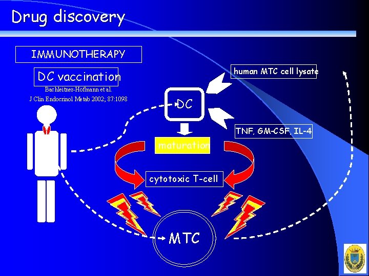 Drug discovery IMMUNOTHERAPY human MTC cell lysate DC vaccination Bachleitner-Hofmann et al. J Clin