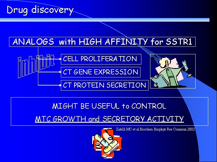 Drug discovery ANALOGS with HIGH AFFINITY for SSTR 1 CELL PROLIFERATION CT GENE EXPRESSION