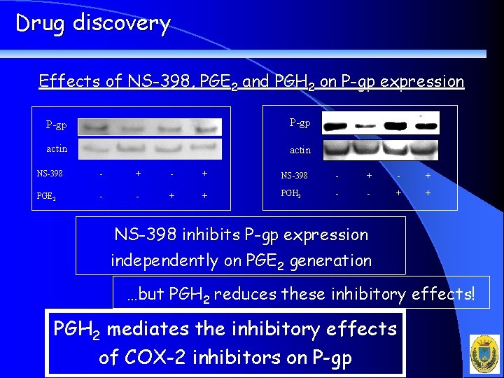 Drug discovery Effects of NS-398, PGE 2 and PGH 2 on P-gp expression P-gp