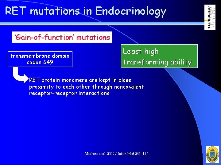 RET mutations in Endocrinology ‘Gain-of-function’ mutations transmembrane domain codon 649 Least high transforming ability