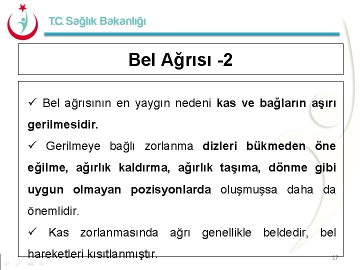 Bel Ağrısı -2 ü Bel ağrısının en yaygın nedeni kas ve bağların aşırı gerilmesidir.