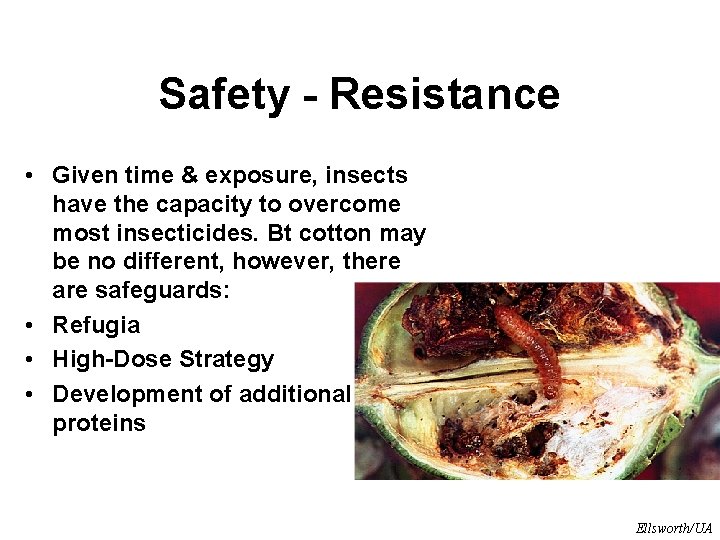 Safety - Resistance • Given time & exposure, insects have the capacity to overcome