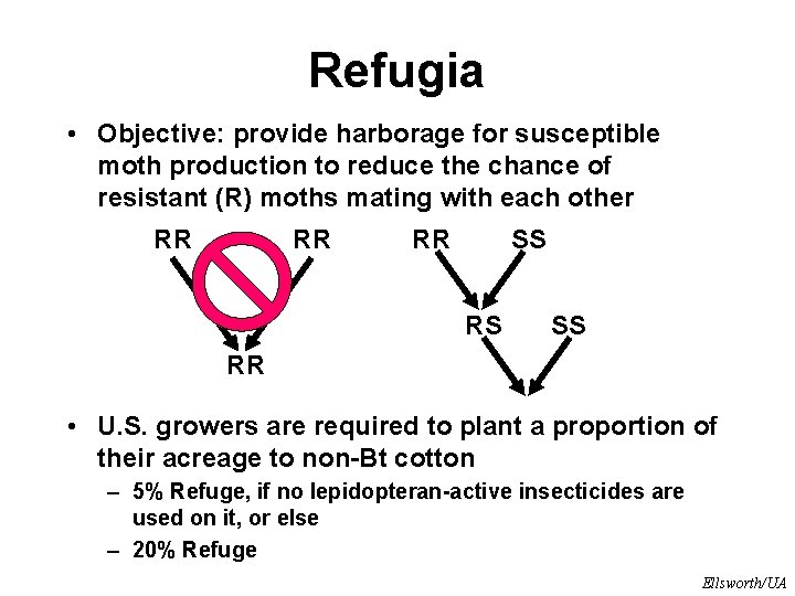 Refugia • Objective: provide harborage for susceptible moth production to reduce the chance of