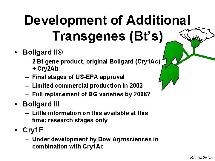 Development of Additional Transgenes (Bt’s) • Bollgard II® – 2 Bt gene product, original