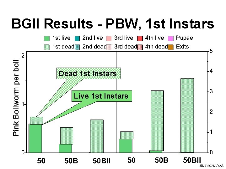 BGII Results - PBW, 1 st Instars Dead 1 st Instars Live 1 st