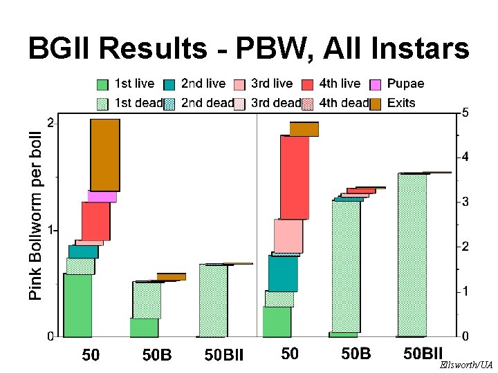 BGII Results - PBW, All Instars Ellsworth/UA 