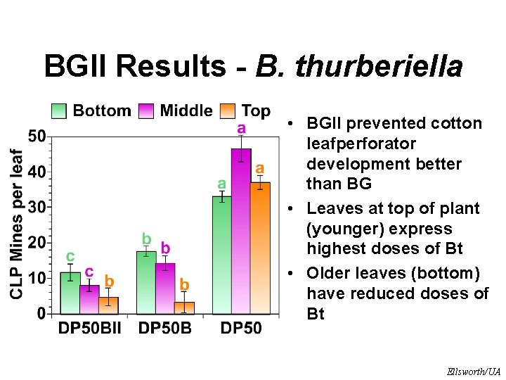 BGII Results - B. thurberiella • BGII prevented cotton leafperforator development better than BG