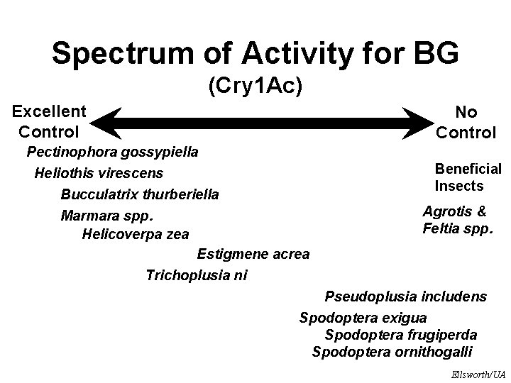 Spectrum of Activity for BG (Cry 1 Ac) Excellent Control No Control Pectinophora gossypiella