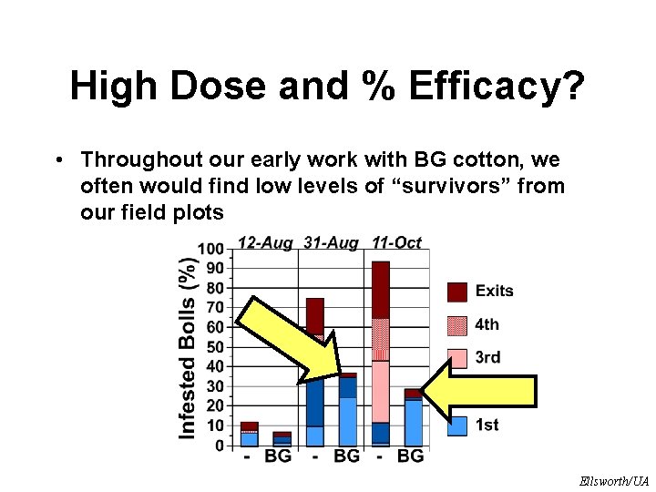 High Dose and % Efficacy? • Throughout our early work with BG cotton, we