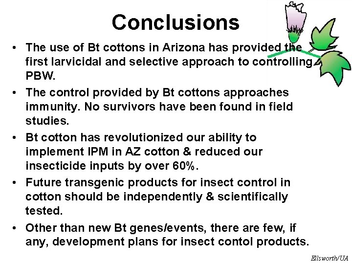 Conclusions • The use of Bt cottons in Arizona has provided the first larvicidal