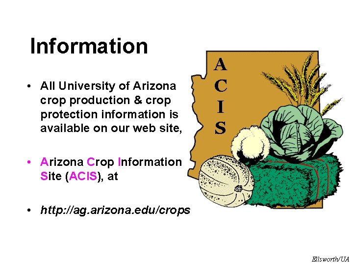Information • All University of Arizona crop production & crop protection information is available