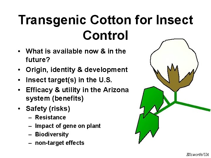 Transgenic Cotton for Insect Control • What is available now & in the future?