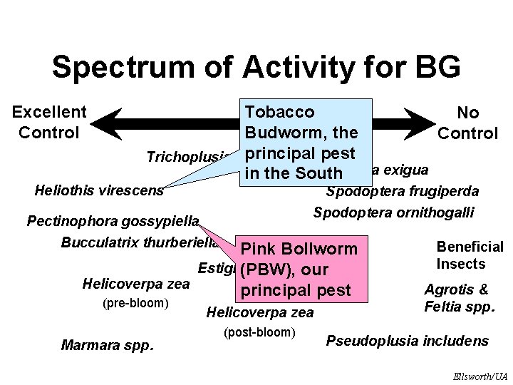 Spectrum of Activity for BG Excellent Control Tobacco No Budworm, the Control Trichoplusia niprincipal